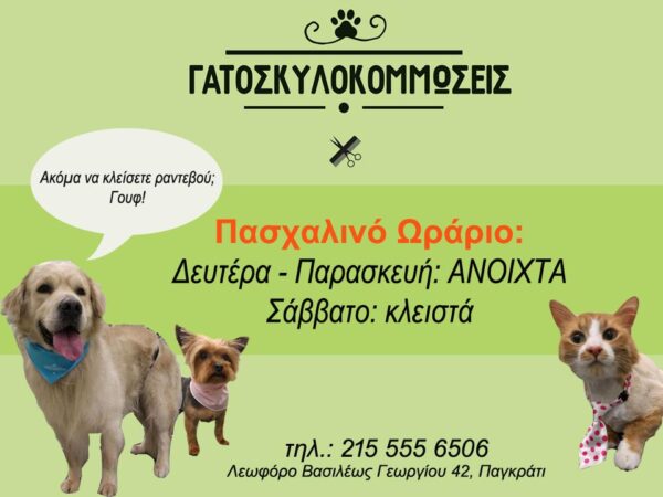 Πασχαλινό Ωράριο – Κομμωτήριο Σκύλου και Γάτας, Αθήνα